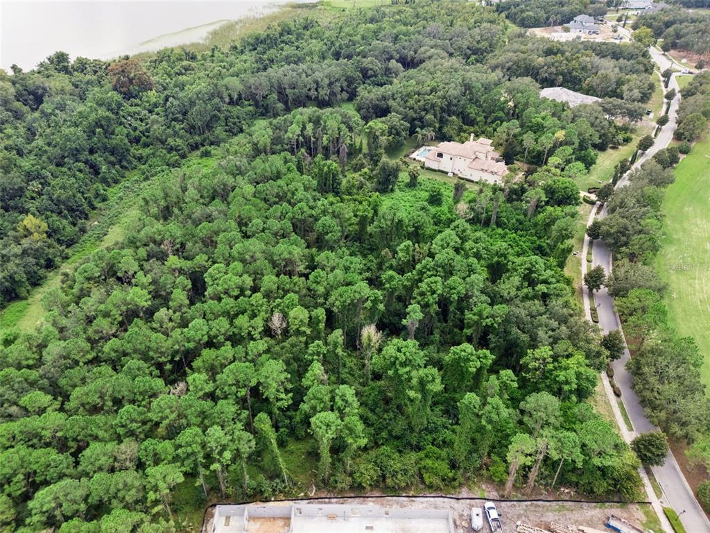 An aerial view shows a wooded lot adjacent to a road and a large house — 17131 ETRUSCAN LANE, MONTVERDE, FL