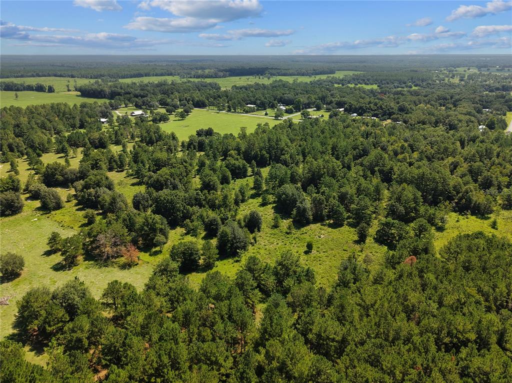 An aerial view shows a large, grassy pasture surrounded by dense forest and scattered trees — NE 160TH AVE, WILLISTON, FL