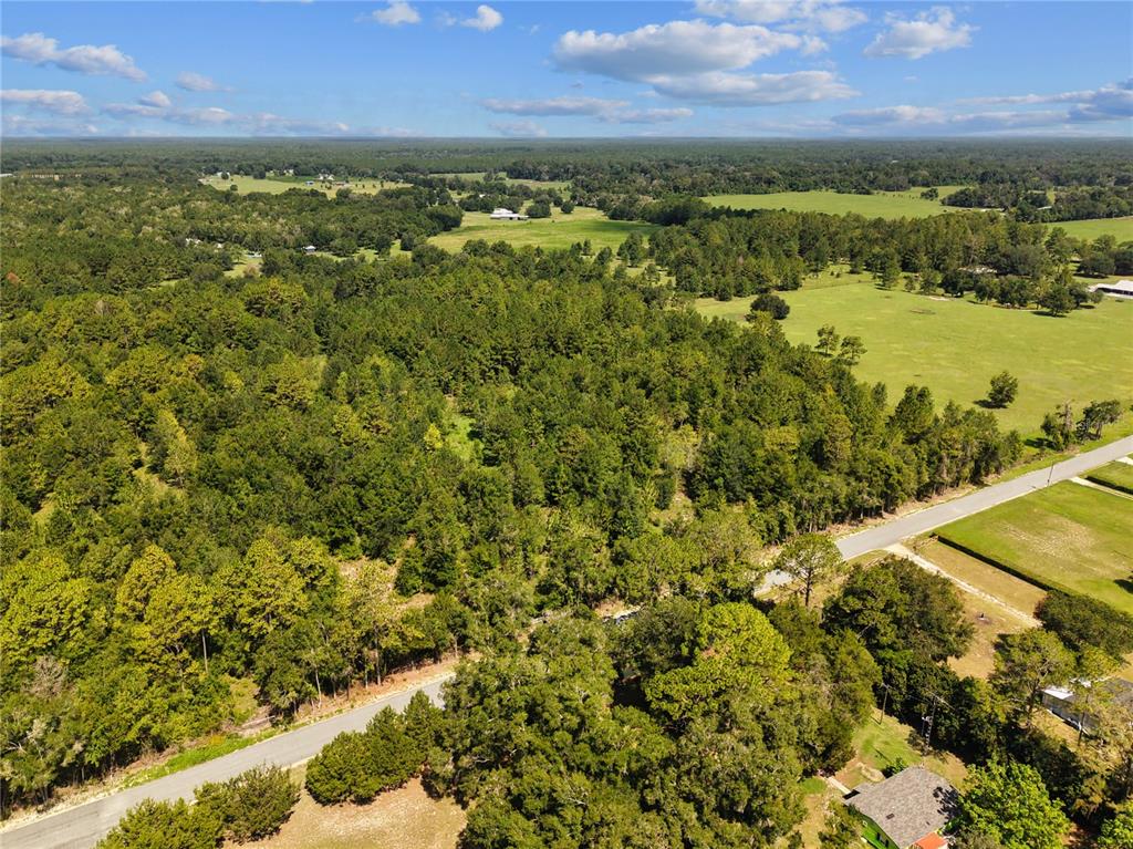 An aerial view shows a dense forest bordered by a road and open grassy fields — NE 160TH AVE, WILLISTON, FL