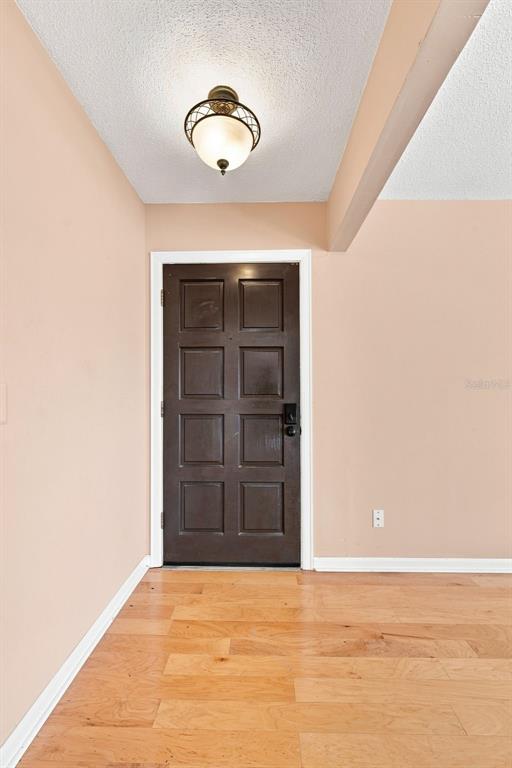 An entryway features a dark brown door, light-colored walls, and hardwood flooring — 10836 VENICE CIRCLE, TAMPA, FL
