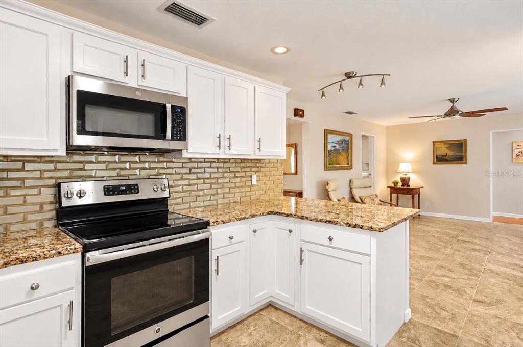1150 MCFARLAND STREET, DUNEDIN, FL — photo 2 of 30