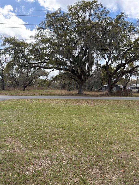 A grassy lot faces a paved road with large oak trees in the background — GASKIN ROAD, BARTOW, FL