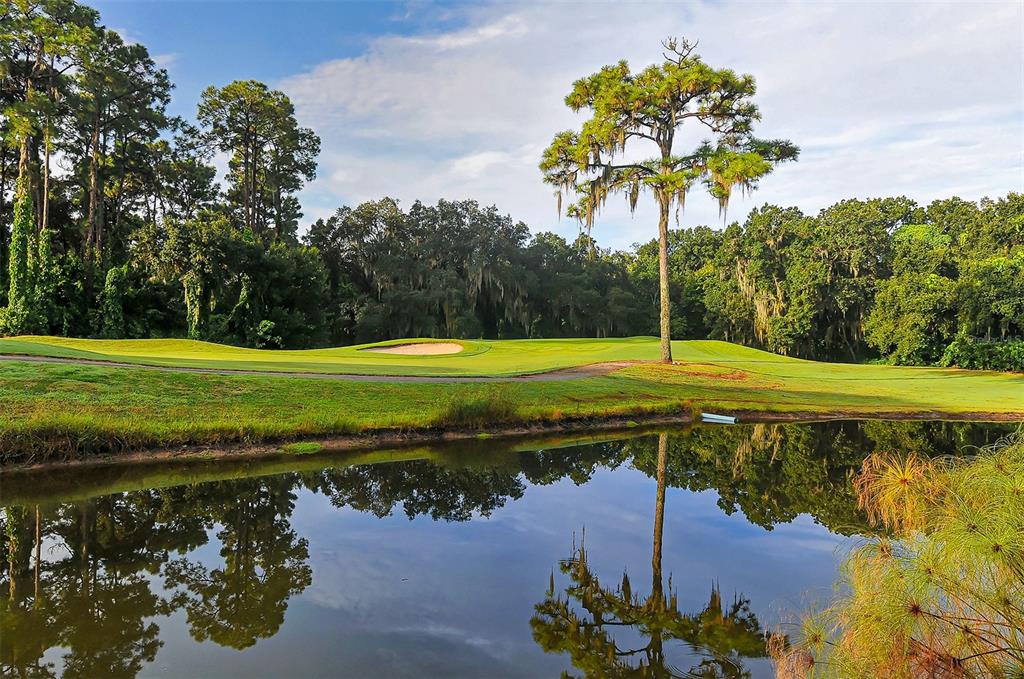 A golf course fairway features a pond in the foreground and a large pine tree — 5315 MYRTLE UNIT 46, SARASOTA, FL