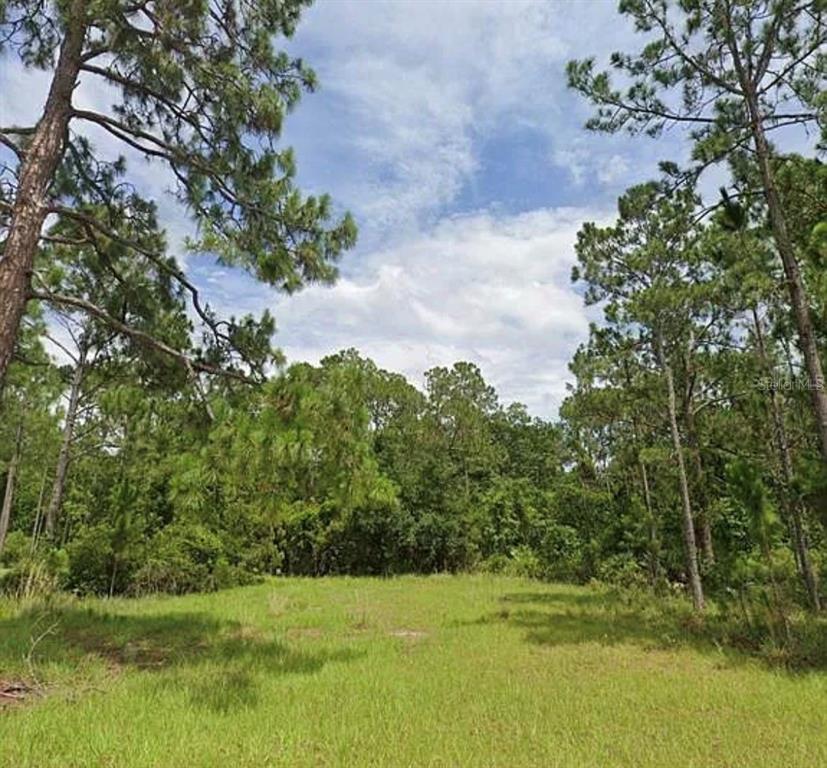 7143 OAK GLEN TRAIL, HARMONY, FL — photo 3 of 12