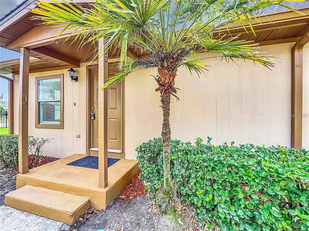 A tan house exterior features a front porch, a brown door, and a small palm tree — 300 ERON WAY UNIT 1, WINTER GARDEN, FL