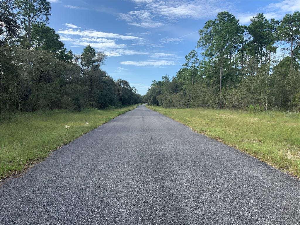 A paved road stretches into the distance between wooded areas under a blue sky — SE 139TH TER LOT 19, MORRISTON, FL