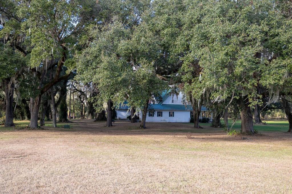 A white house with a green metal roof sits nestled among many large oak trees — 993 CR 722, WEBSTER, FL