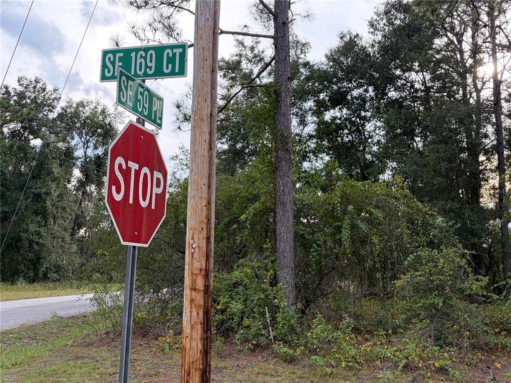 00 CORNER SE 169TH CT & SE 59TH PLACE, OCKLAWAHA, FL — photo 3 of 6