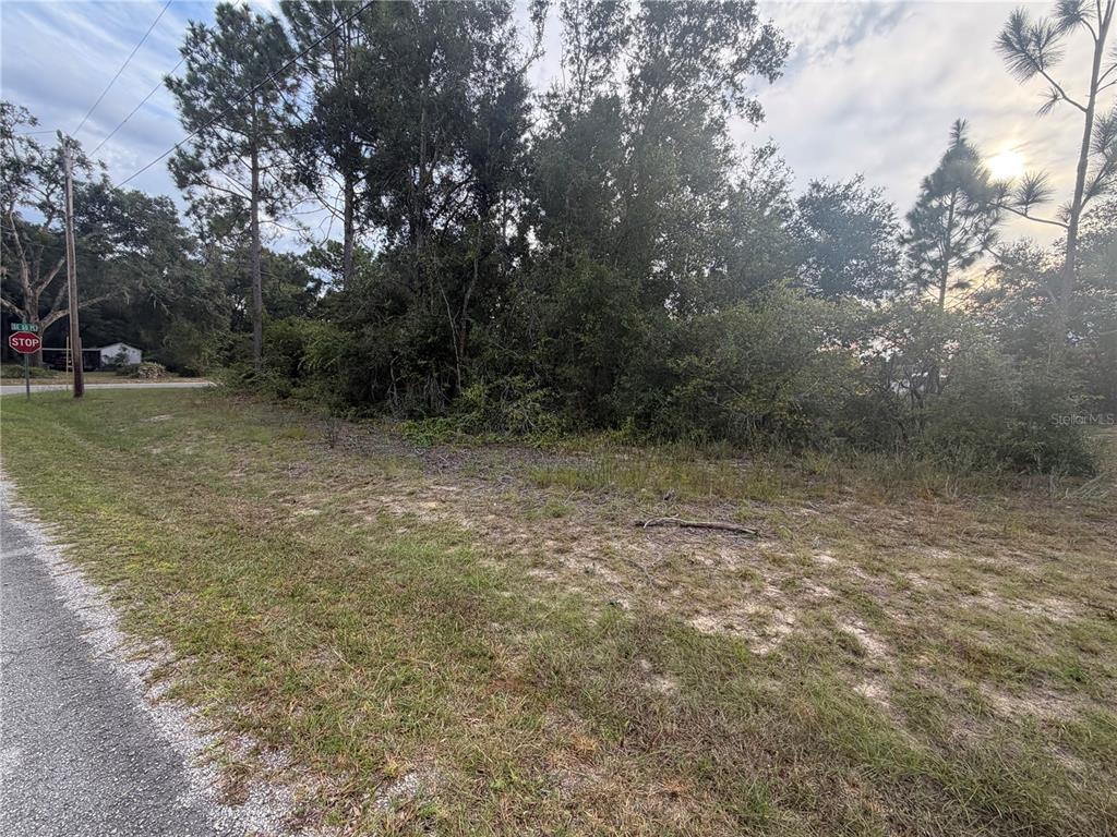 00 CORNER SE 169TH CT & SE 59TH PLACE, OCKLAWAHA, FL — photo 4 of 6