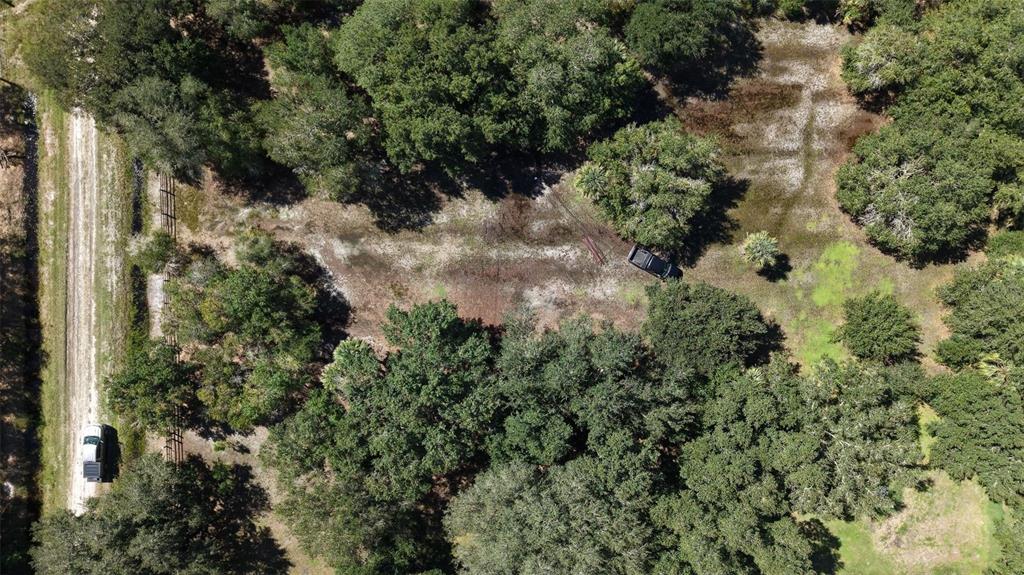 An aerial view shows a dirt road, dense trees, and two vehicles on a grassy lot — 20125 NW 300TH STREET, OKEECHOBEE, FL