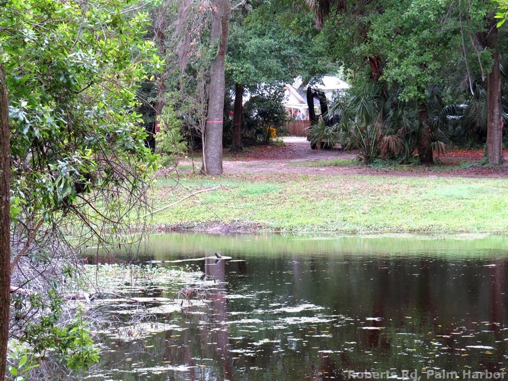 A small pond sits in the foreground with a wooded lot and construction equipment behind it — ROBERTS ROAD, PALM HARBOR, FL