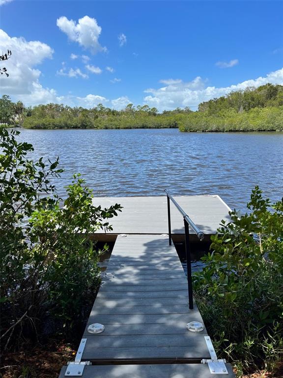 5275 MILLER BAYOU DRIVE, PORT RICHEY, FL — photo 3 of 19