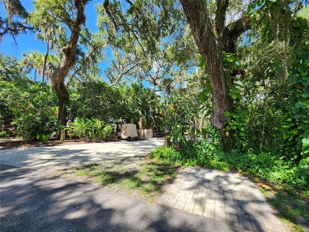 316 ROAN (GATOR ALLEY) ROAD