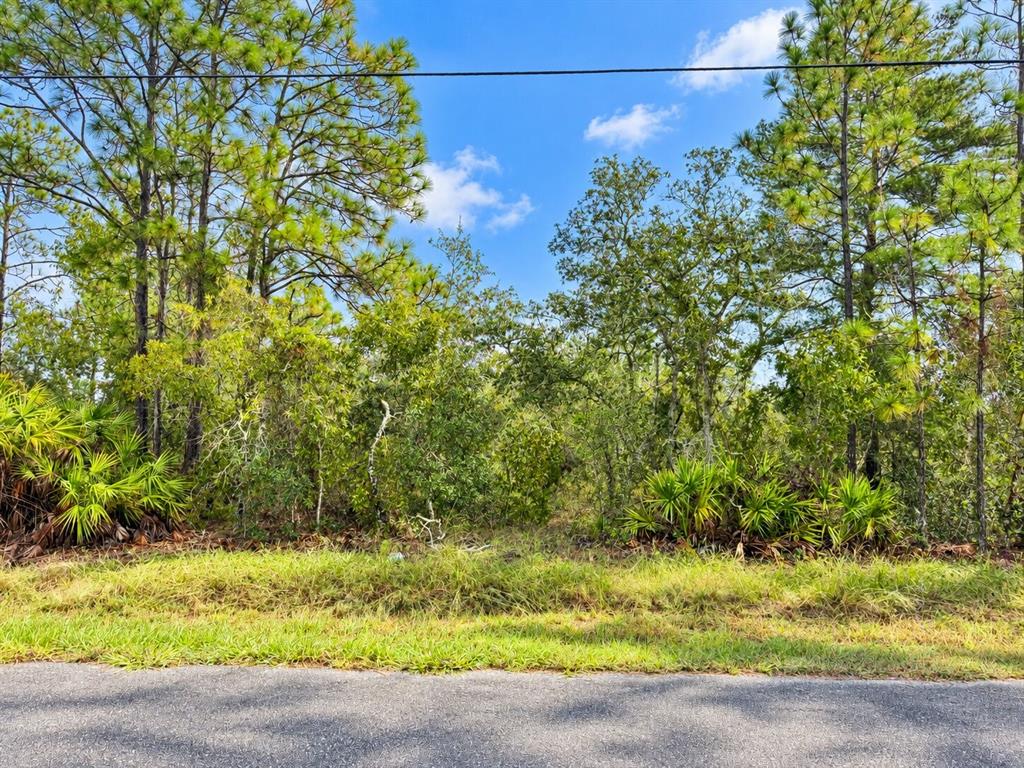 13052 JAYWALK ROAD, WEEKI WACHEE, FL — photo 2 of 11