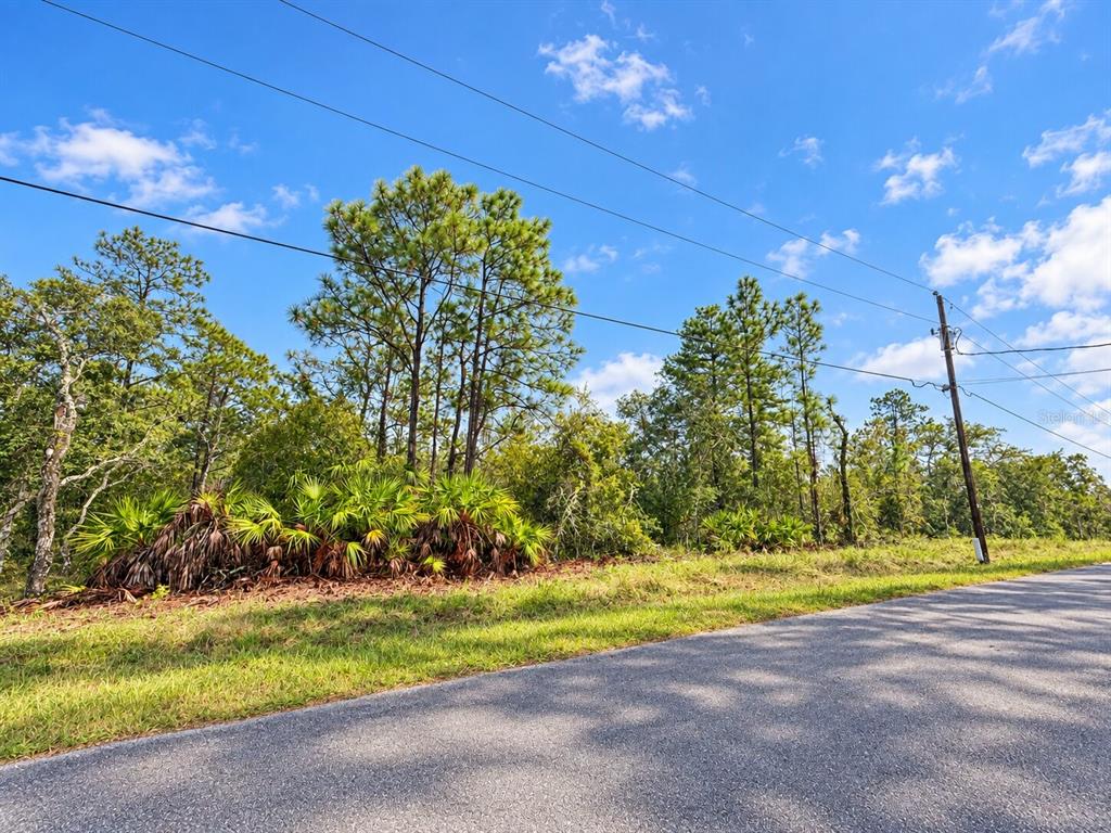 13052 JAYWALK ROAD, WEEKI WACHEE, FL — photo 3 of 11