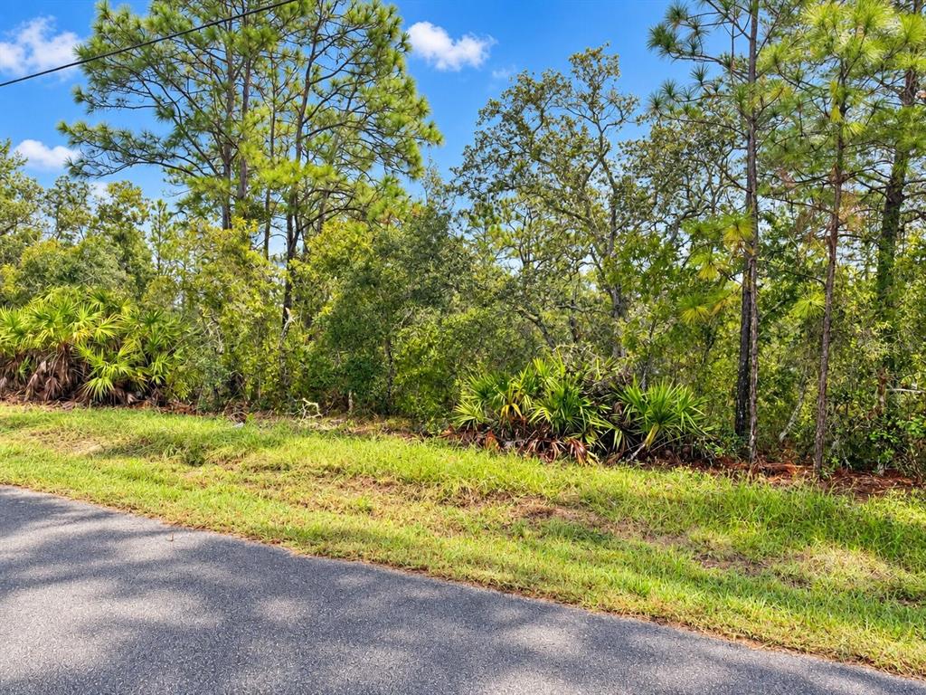13052 JAYWALK ROAD, WEEKI WACHEE, FL — photo 4 of 11