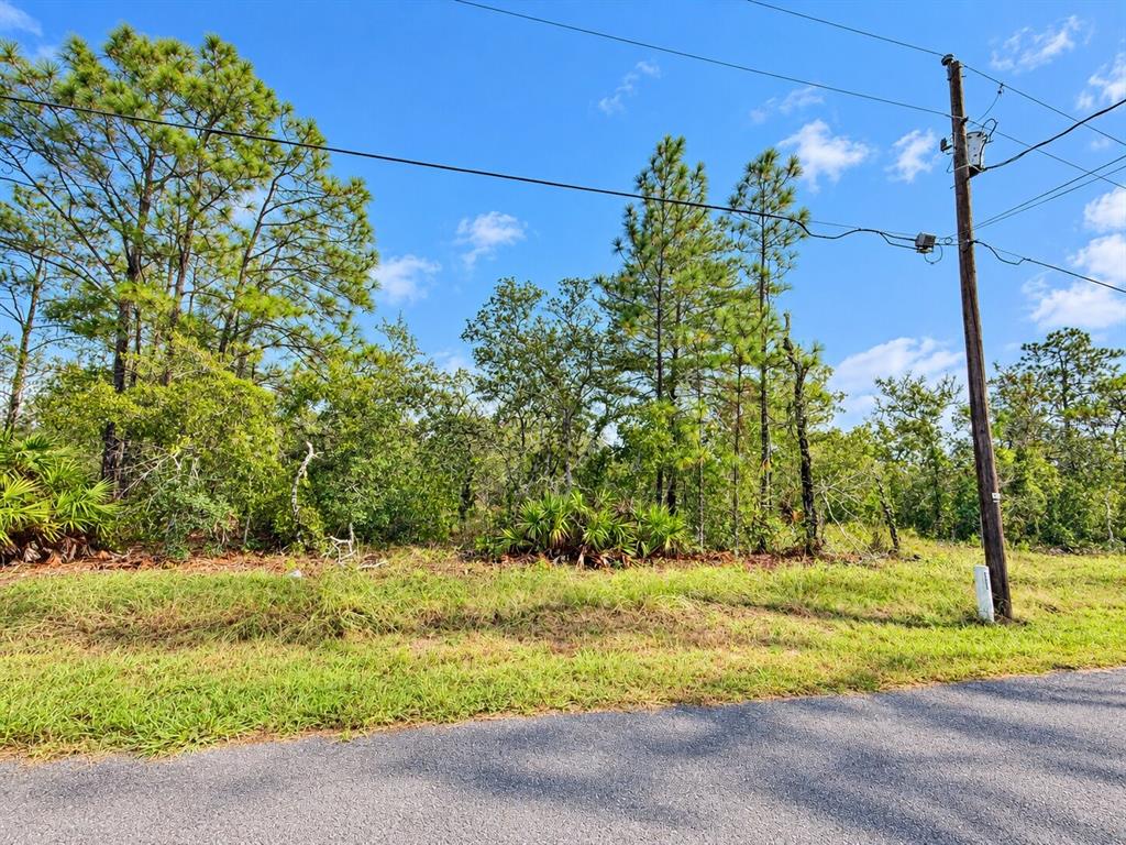 13052 JAYWALK ROAD, WEEKI WACHEE, FL — photo 5 of 11