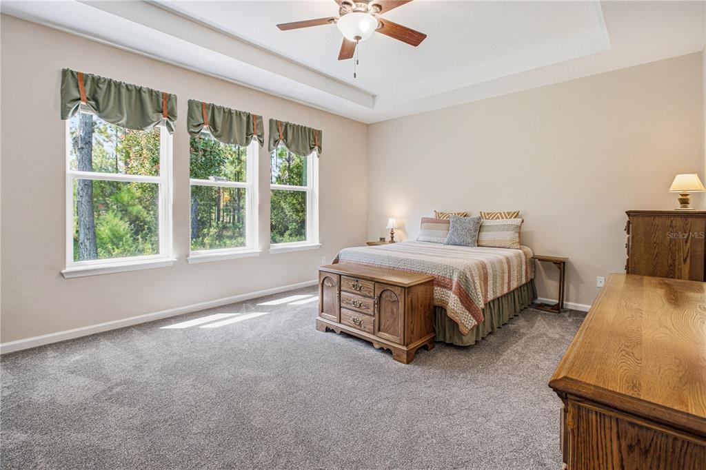A spacious bedroom features a tray ceiling, carpeted floors, three windows, and wooden furniture — 762 RUSTIC MILL DRIVE, ST AUGUSTINE, FL
