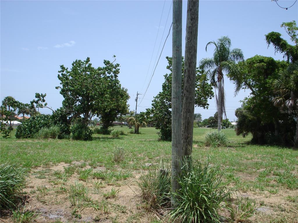 A large, grassy vacant lot features scattered palm trees and a utility pole under blue skies — 2301 S TAMIAMI TRAIL, OSPREY, FL