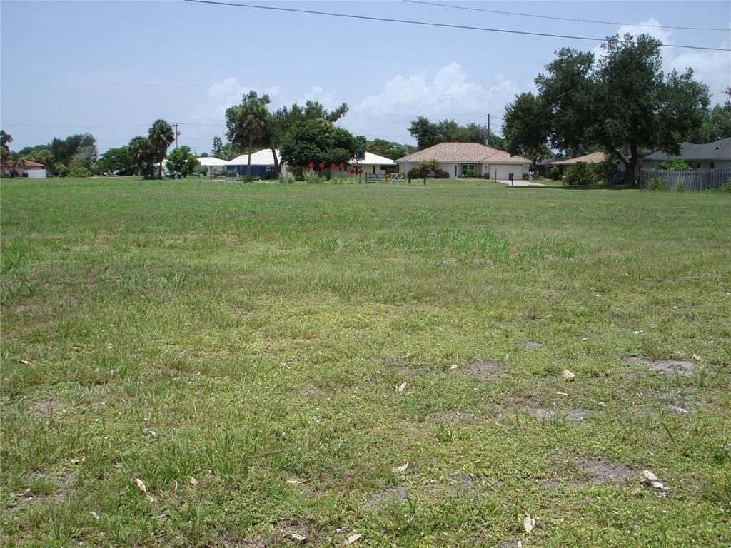 A palm tree stands in a grassy lot with utility poles and a wooden fence — 2301 S TAMIAMI TRAIL, OSPREY, FL