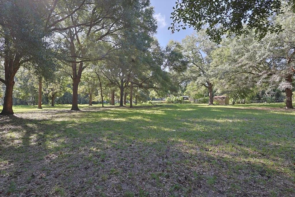 NW 194TH AVENUE, HIGH SPRINGS, FL — photo 2 of 5