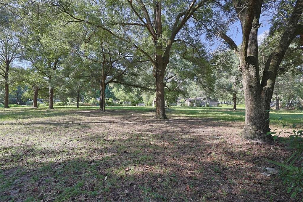 NW 194TH AVENUE, HIGH SPRINGS, FL — photo 3 of 5