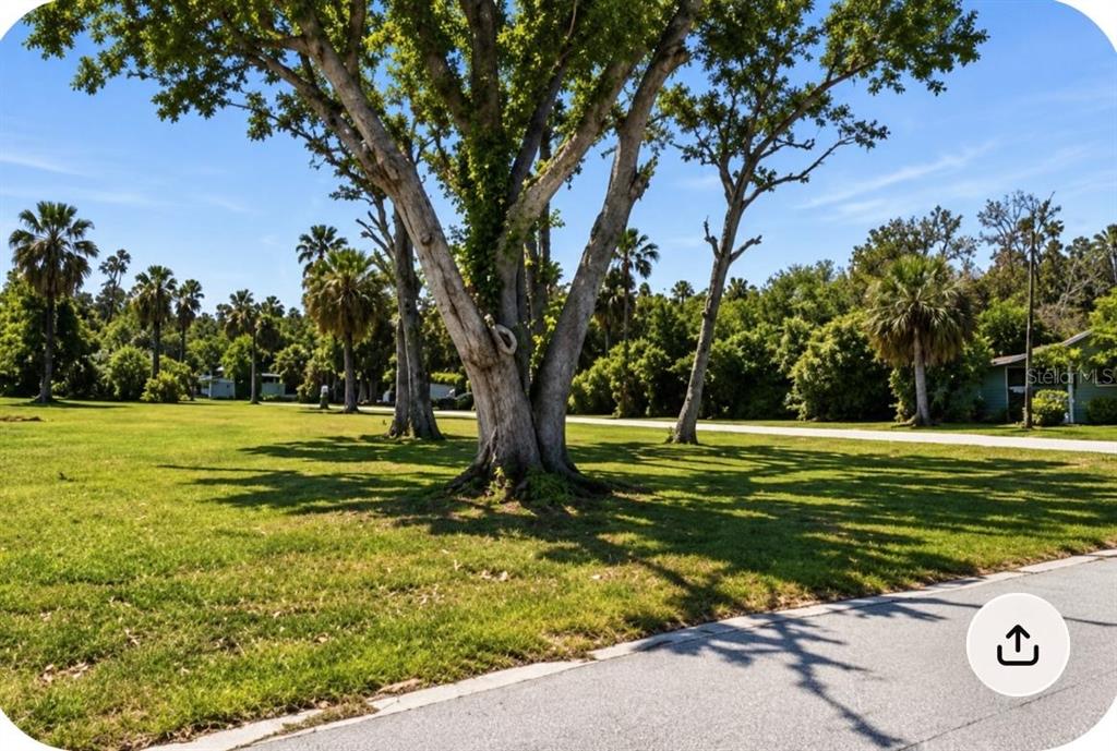 7653 PIER ROAD, PORT RICHEY, FL — photo 2 of 3