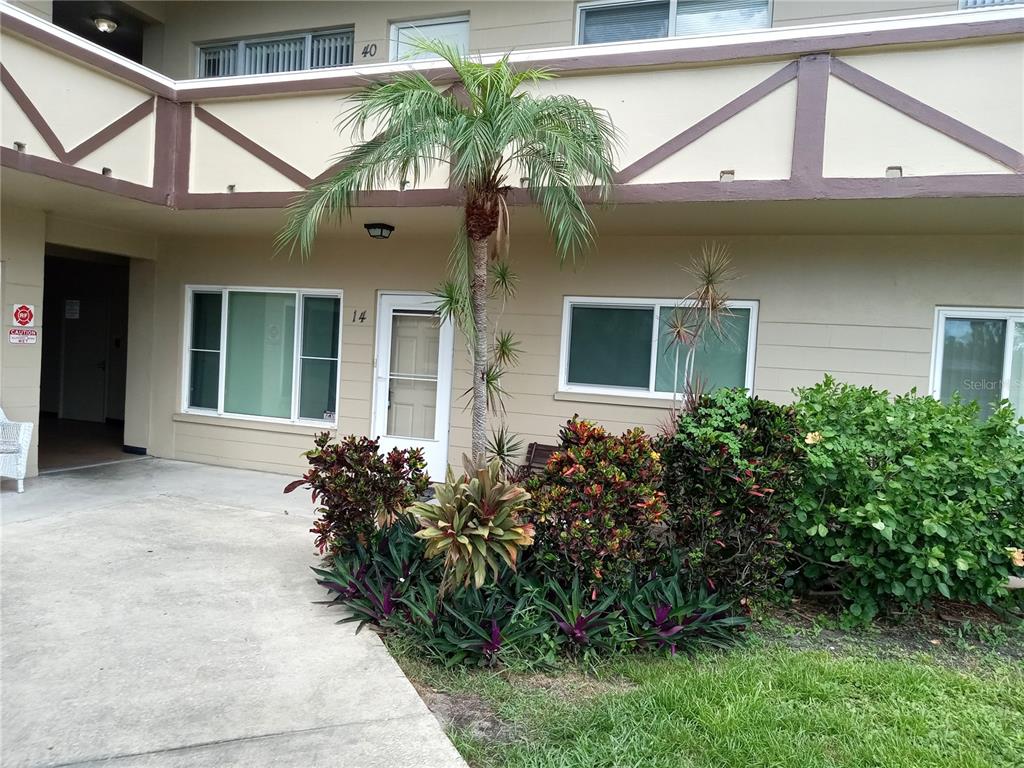 The exterior of a two-story apartment building features a palm tree and landscaped garden beds — 2464 AUSTRALIA WAY E UNIT 14, CLEARWATER, FL