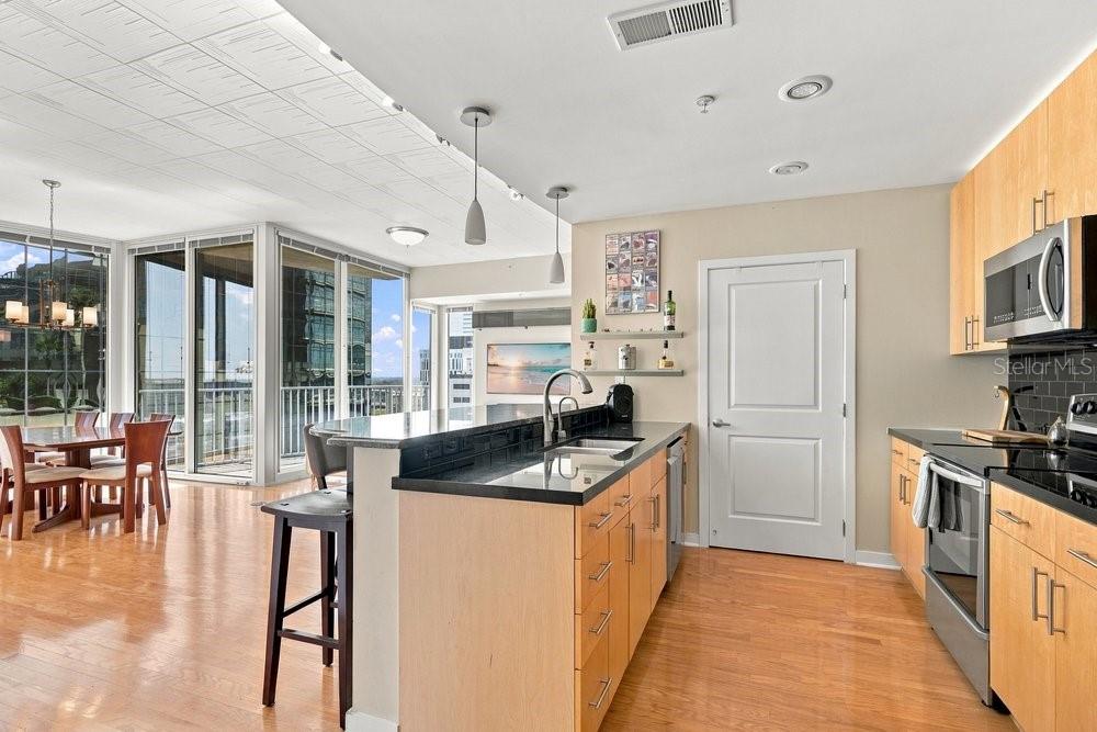 155 S COURT AVENUE UNIT 1102, ORLANDO, FL — photo 2 of 51