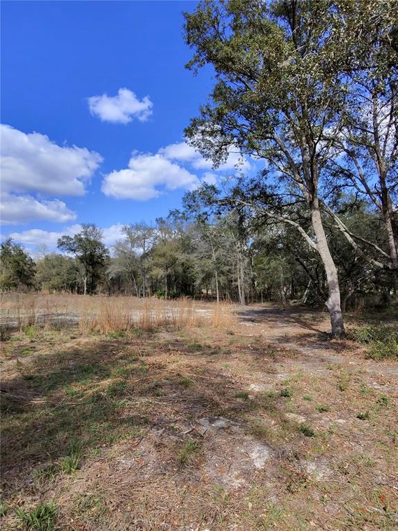 A view of a grassy, partially cleared lot with scattered trees under a blue sky — TBD NE 96TH STREET, ARCHER, FL