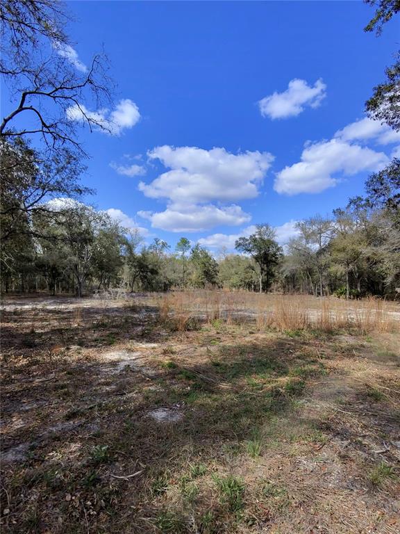 A view of a flat, grassy, and sandy vacant lot surrounded by trees under a sky — TBD NE 96TH STREET, ARCHER, FL