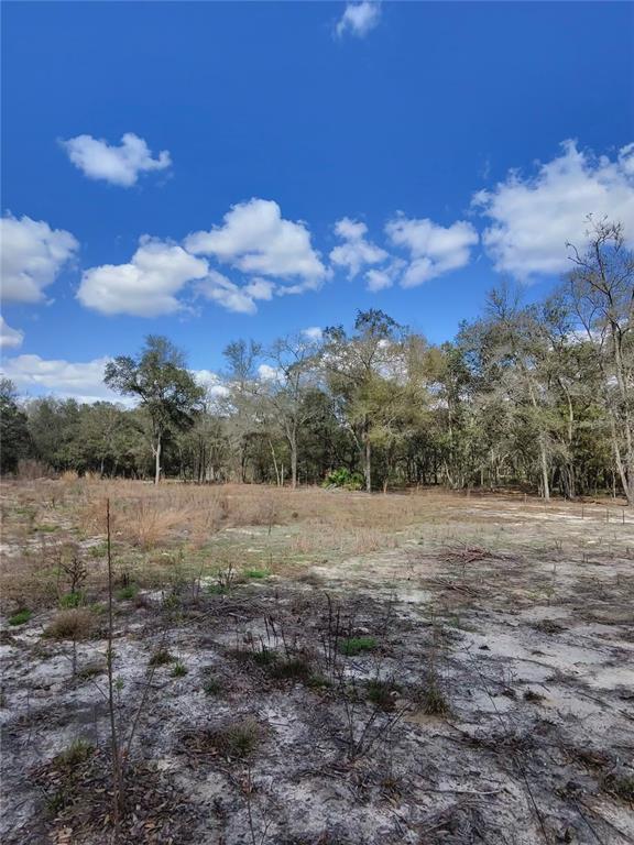 A flat, sandy, undeveloped lot with scattered dry vegetation and a line of trees behind — TBD NE 96TH STREET, ARCHER, FL