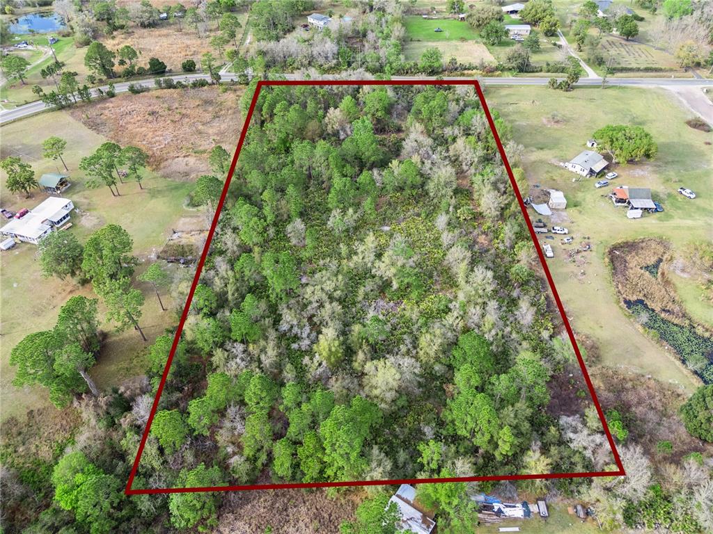 An aerial view shows a wooded, trapezoidal plot of land outlined in red — 541 E OSCEOLA ROAD, GENEVA, FL