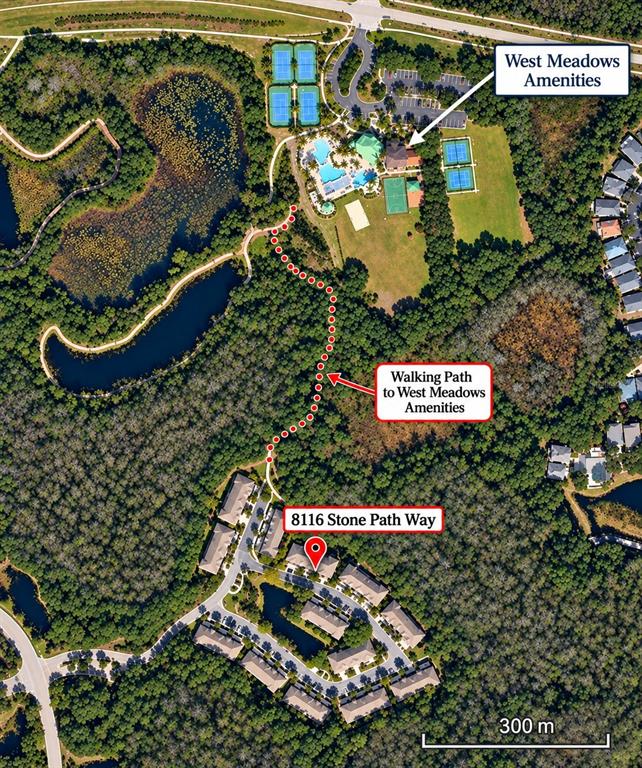 An aerial view shows the exterior of a multi-story apartment building surrounded by trees — 8116 STONE PATH WAY, TAMPA, FL