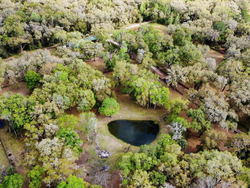 An aerial view shows a small pond surrounded by dense trees and a dirt driveway — 10820 SW 31ST WAY, WEBSTER, FL