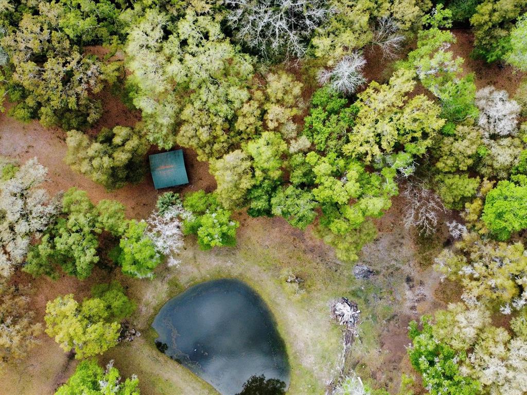 An aerial view shows a small cabin near a pond surrounded by a wooded area — 10820 SW 31ST WAY, WEBSTER, FL