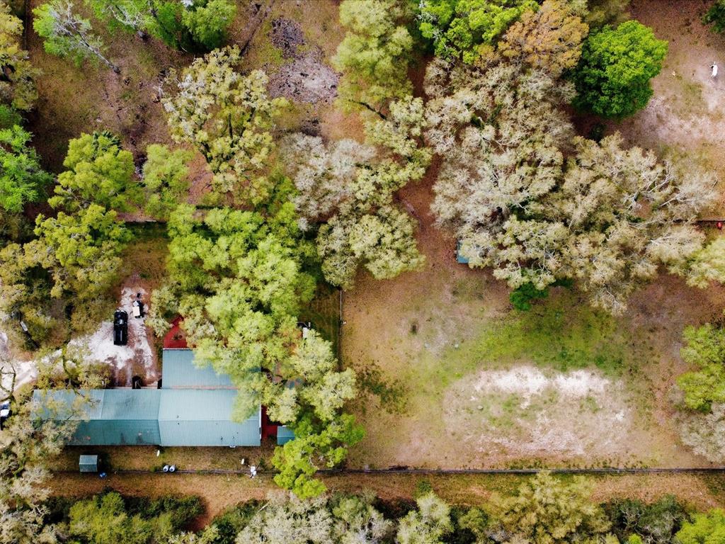 An aerial view shows a house with a green metal roof surrounded by many trees — 10820 SW 31ST WAY, WEBSTER, FL