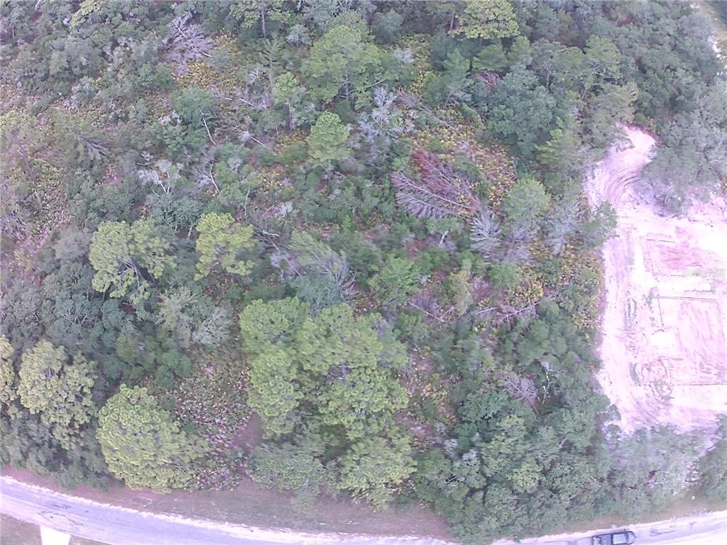 An aerial view shows a wooded lot with a cleared sandy area next to a road — E CASHEW COURT, EUSTIS, FL
