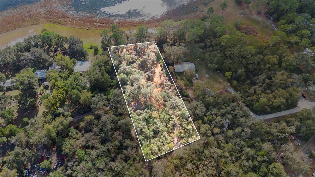 An aerial view shows a rectangular, tree-covered lot outlined in white near a lake — TBD SE 256TH AVENUE, UMATILLA, FL