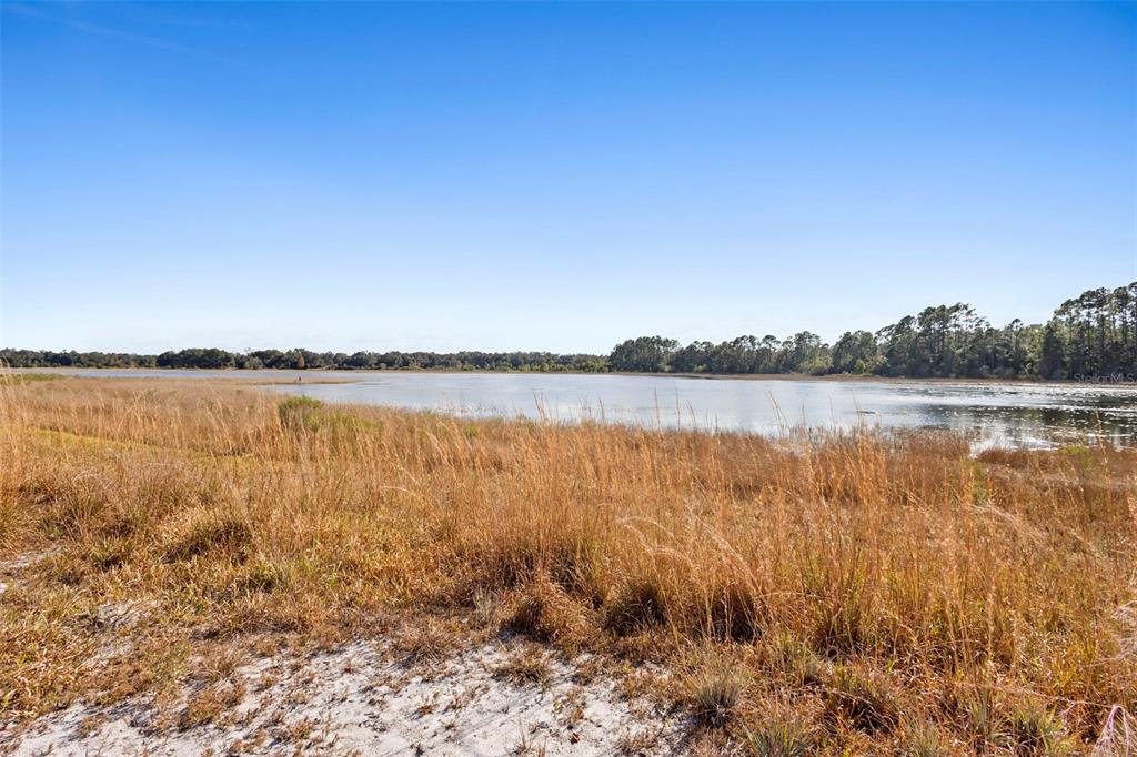 A view of a lake bordered by tall grasses and a sandy foreground — TBD SE 256TH AVENUE, UMATILLA, FL