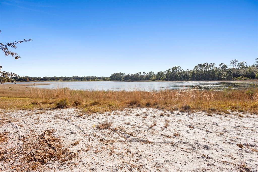 A sandy shoreline overlooks a lake surrounded by tall grasses and a distant tree line — TBD SE 256TH AVENUE, UMATILLA, FL