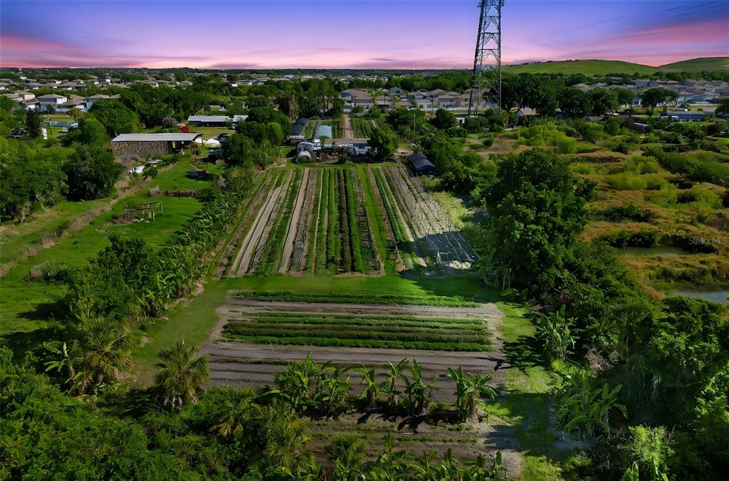 An aerial view shows a large garden with rows of crops and surrounding trees — 11101 SUMNER ROAD, WIMAUMA, FL