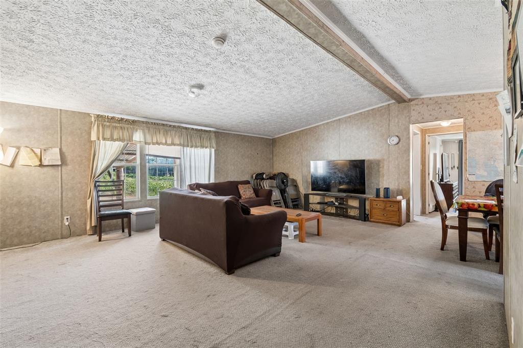 A living room with beige wallpaper, carpeted flooring, a brown sofa, and a television stand — 11101 SUMNER ROAD, WIMAUMA, FL