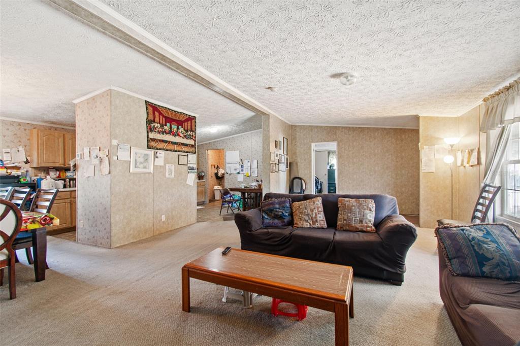 A living room with beige wallpaper, carpeted floors, and a dark sofa faces a kitchen — 11101 SUMNER ROAD, WIMAUMA, FL