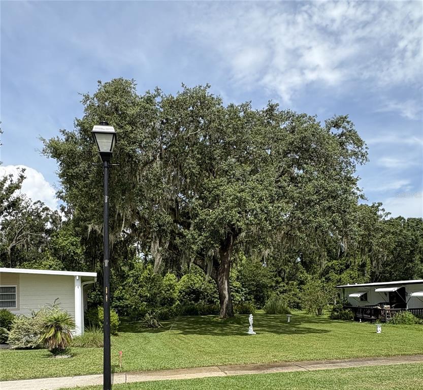 29129 JOHNSTON ROAD UNIT 2510