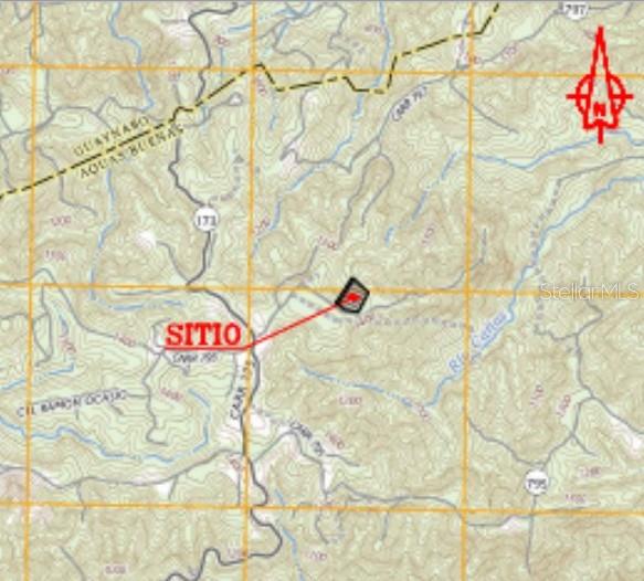 This is a topographic map showing the location of a property site — CARR 797, AGUAS BUENAS, PR