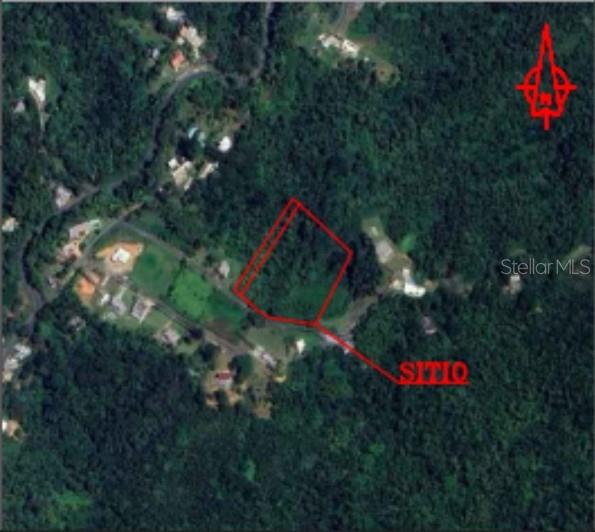 This is an aerial map showing a plot of land outlined in red — CARR 797, AGUAS BUENAS, PR