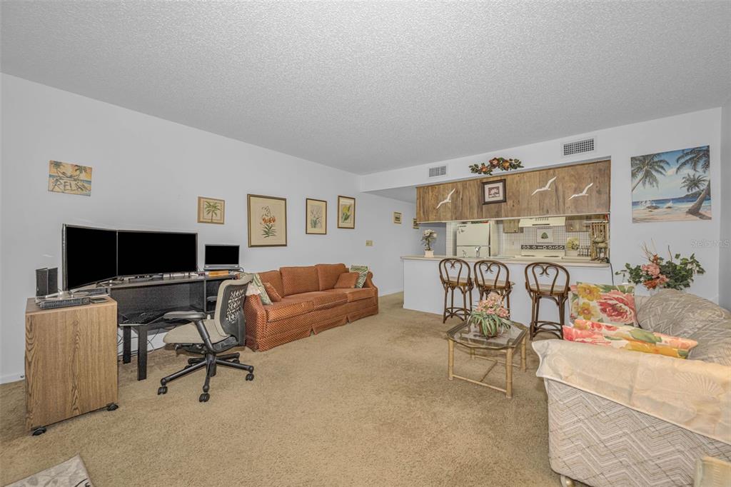 A living room with carpeted floors, a desk, a sofa, and an open kitchen area — 2400 WINDING CREEK BOULEVARD UNIT 17-103, CLEARWATER, FL