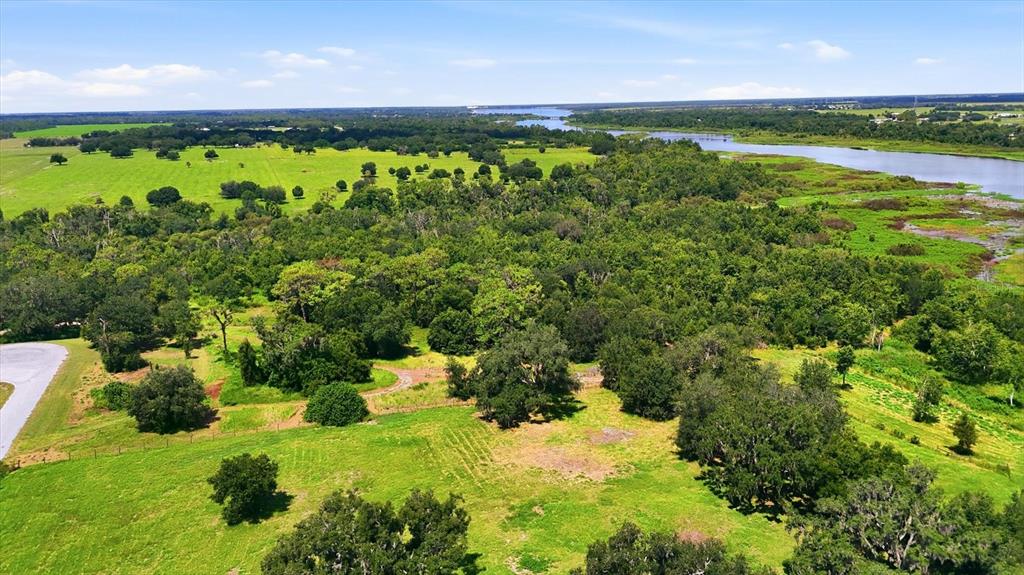 An aerial view shows a grassy field with scattered trees bordering a river and forest — 26125 39TH PL E BOULEVARD, MYAKKA CITY, FL