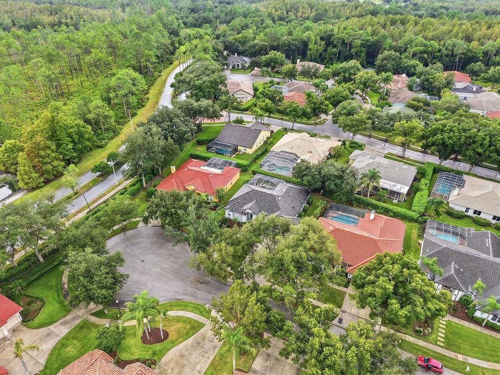 17725 GREY EAGLE ROAD, TAMPA, FL — photo 2 of 30